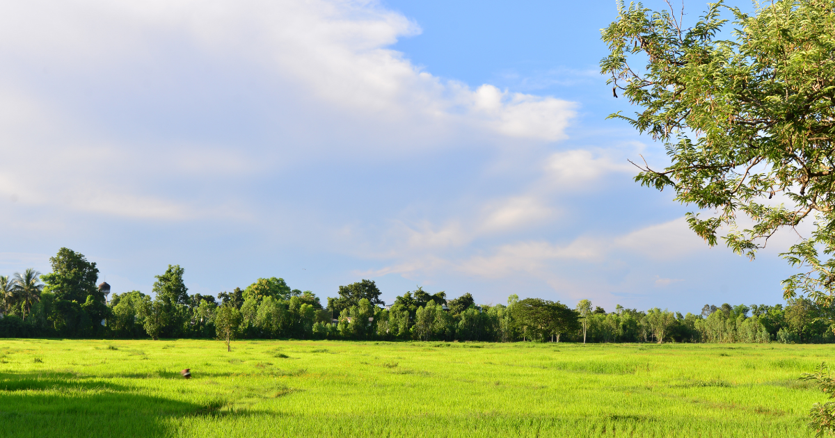 Top 3 Hunting Tips & Insights for Outdoorsmen in Salem, Missouri